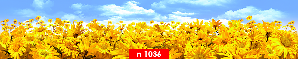 n 1036